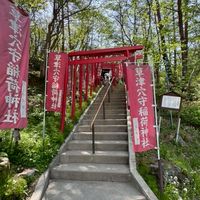 貓奴の日本採購團