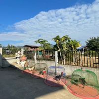 สุทธิเกียรติฟาร์ม เมืองเลย