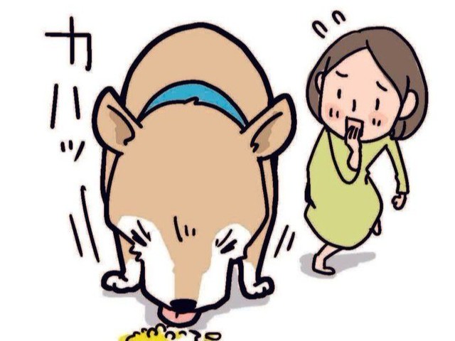 犬から 出るもの に隠れた意外な原因とは いぬのきもちnews