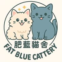 肥藍貓舍 Fat Blue Cattery