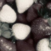 薆  の 薬 を  。