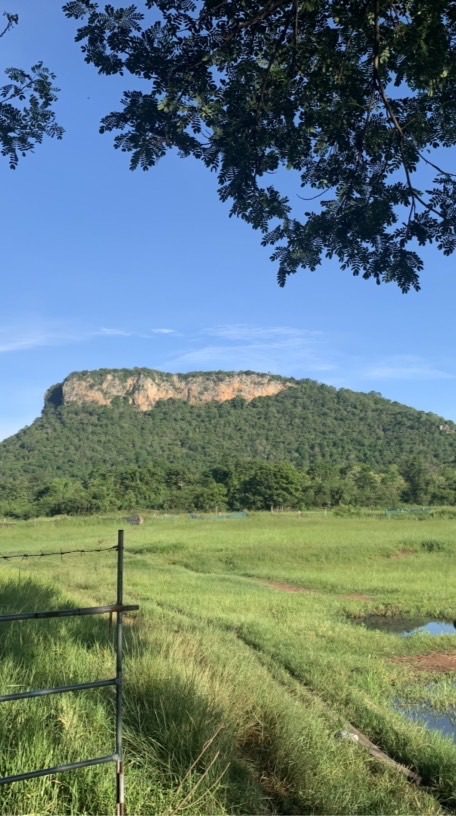 พม่าพัฒนา ถาวรฟาร์ม ราชบุรี