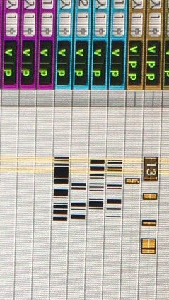 protoolsの集い