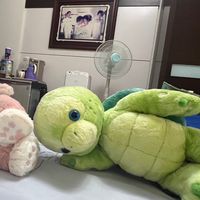 蘋果&檸檬