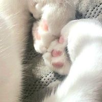 หมื่นสวรรค์•สำนัก