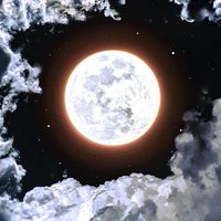 美樂家產品分享群