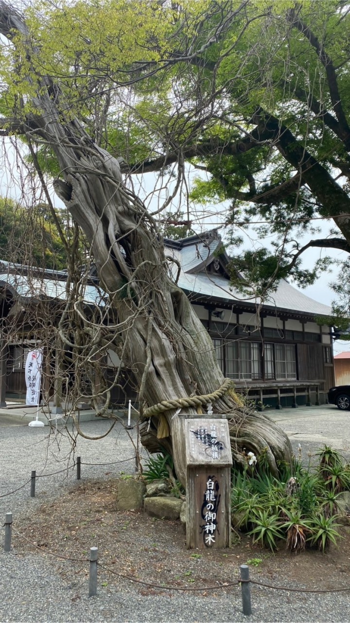 伊豆好きな人集まれ😄　海やドライブ旅行する際の情報収集だけでも気楽にどうぞ😁