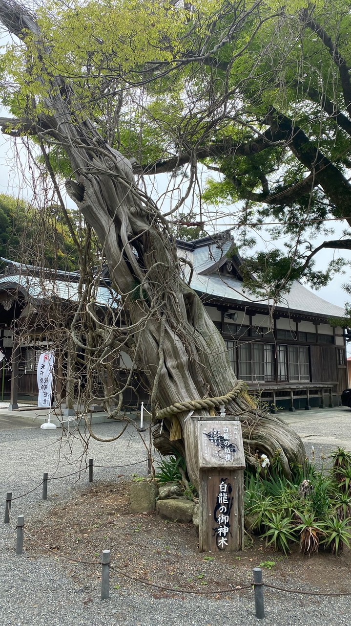 伊豆好きな人の為の情報交流会😁