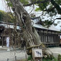 伊豆好きな人の為の情報交流会😁