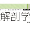 いまさら聞けない解剖学🦴  国家試験や臨床に役立つ情報を配信中👨‍🏫