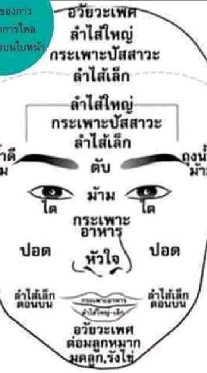 ชมรมนวดกดจุดสะท้อนรีเฟล็ก