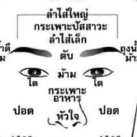 ชมรมนวดกดจุดสะท้อนรีเฟล็ก