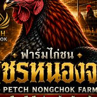 ไก่ชน เพชรหนองจอกฟาร์ม