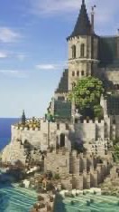 建国マイクラオプ！
