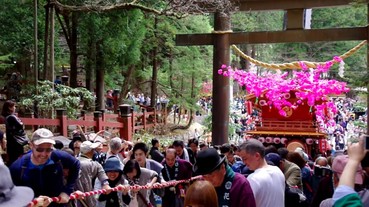 二荒山神社日光彌生祭四月即將展開！粉紅杜鵑花車遶境絢爛登場