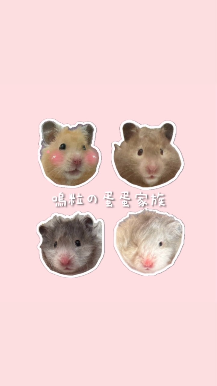 嗚粒の蛋蛋家族🍳