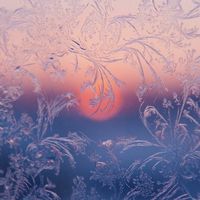 ──氷雪の獣──