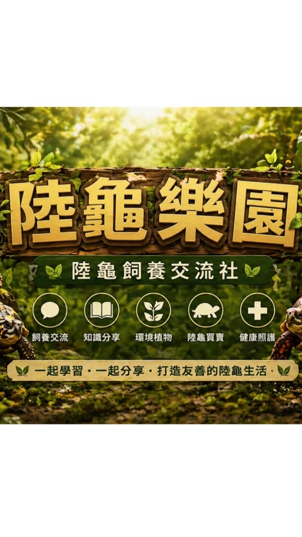陸龜樂園｜陸龜飼養交流社