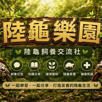 陸龜樂園｜陸龜飼養交流社