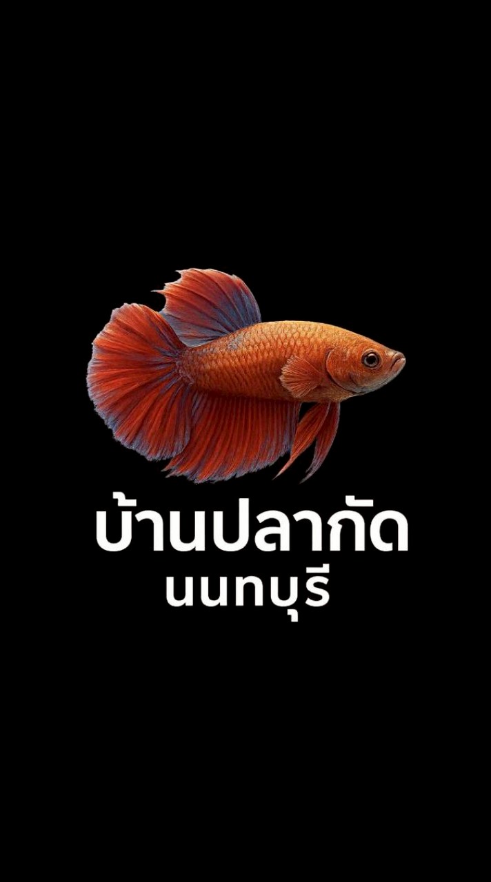 บ้านปลากัดนนทบุรี
