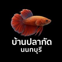 บ้านปลากัดนนทบุรี