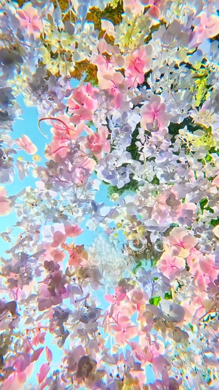 ꧁༺ 𝓛𝓪 𝓒𝓲𝓷𝓺𝓾𝓲è𝓶𝓮 𝓡é𝓹𝓾𝓫𝓵𝓲𝓺𝓾𝓮 𝓯𝓻𝓪𝓷ç𝓪𝓲𝓼𝓮 ｜ 小說社 ༻꧂（分群）