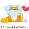 🕊️TikTokライト協力ぐるーぷ🕊️