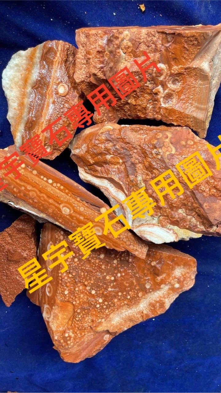 < 能量工廠 >星宇(生產家)泰國龍宮舍利