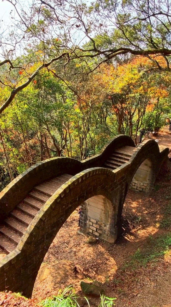 50+60+歲月溫柔…愛在深秋🍁