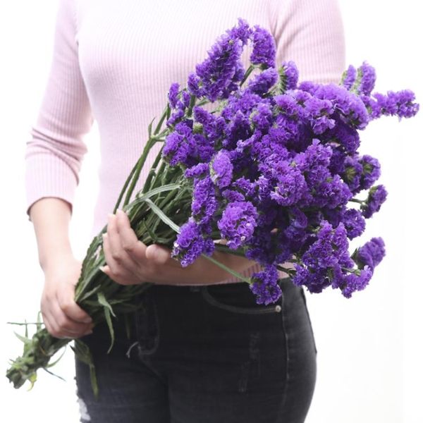 乾花花束混搭家庭飾品家居擺設辦公裝飾鮮花拍攝道具YYP 蜜拉貝爾