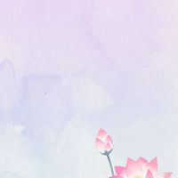 清龍堂 季節の養生&薬膳