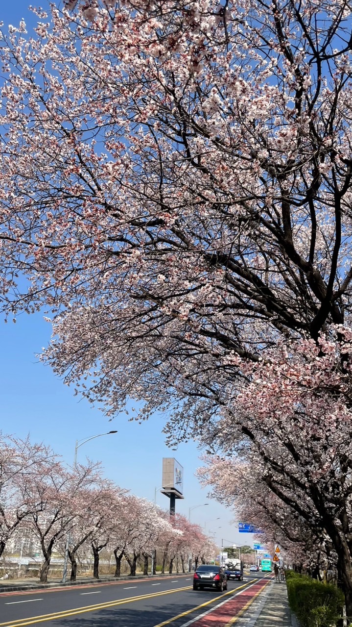 [laurel]6月中連線地點待定