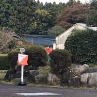 大会日程調整
