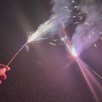 主と一緒に遊んでくれる人募集«学生限定»