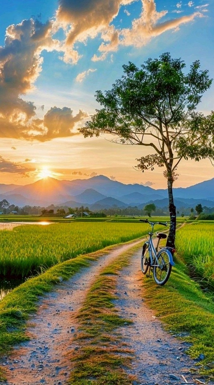 หาเพื่อน เเบ่งปันความสุข