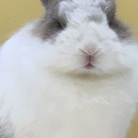 畫畫、藝術區
