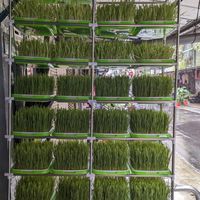 礦石養生:接地氣探索健康之寶