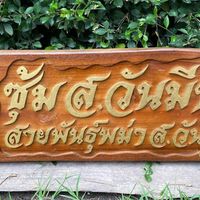 ซุ้ม.ส.วันมีชัย