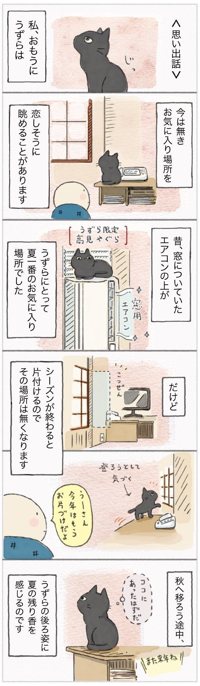 また来年ね 夏の思い出に浸る猫と 季節の変わり目 ねこのきもちnews