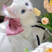 แจกอะไรมั่วๆๆๆๆ
