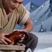 🦊雪狐與醬板鴨🦆