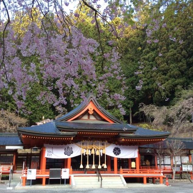 櫻花神社櫻花御守