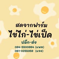 🥚ร้านไข่สด🥚