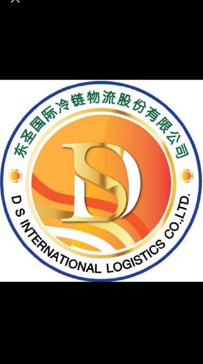 DS INTERNATIONAL LOGISTIC