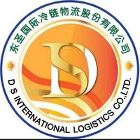 DS INTERNATIONAL LOGISTIC