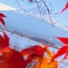 風景や生き物、植物などの写真で癒し癒されたい人の交流部屋😊✨