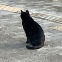 暇な人が作った皆の居場所