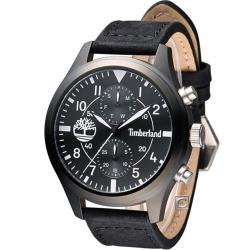 Timberland 潮流大錶面時尚腕錶(TBL.14322JSB/02)48mm