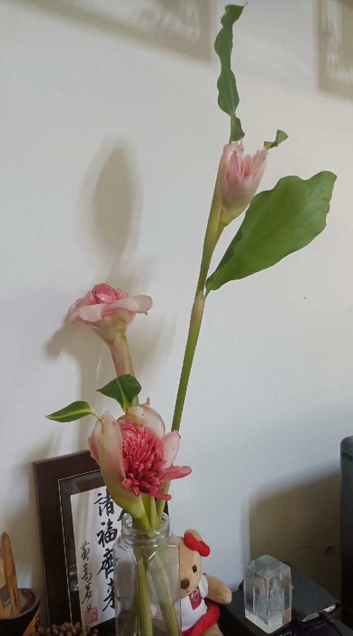 香草飲食自然療法