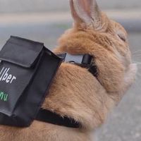 普普通通的訓練室
